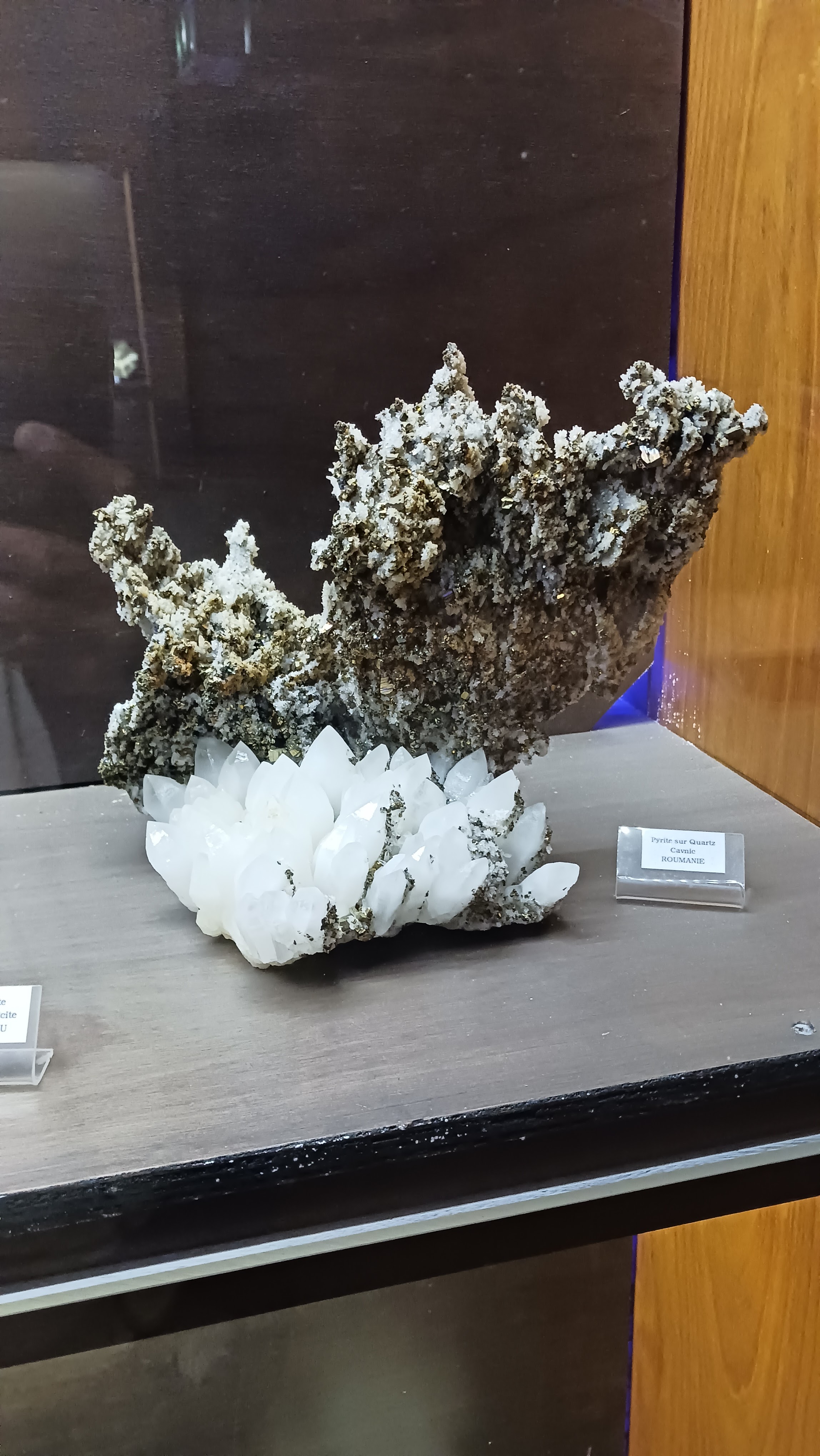 Photo n° 5 de l'avis de Jean.i fait le 01/06/2023 à 13:16