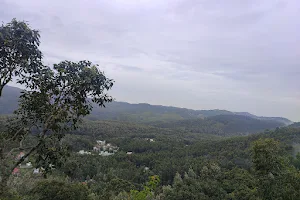 Sathyamangalam Forest image