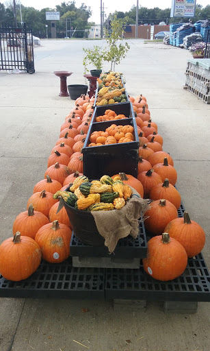 Hardware Store «Ace Hardware & Garden Center», reviews and photos, 20277 Wirt St, Elkhorn, NE 68022, USA