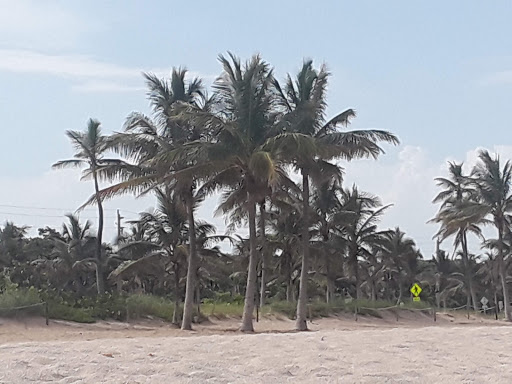 State Park «Hugh Taylor Birch State Park», reviews and photos, 3109 E Sunrise Blvd, Fort Lauderdale, FL 33304, USA