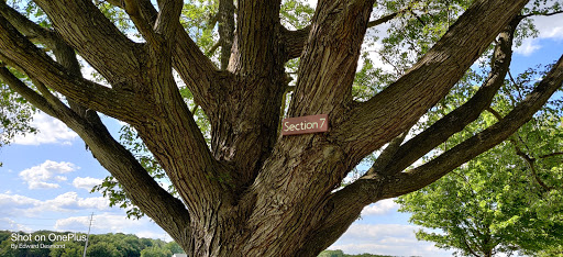 Park «Flying Point Park», reviews and photos, 511 Kennard Ave, Edgewood, MD 21040, USA