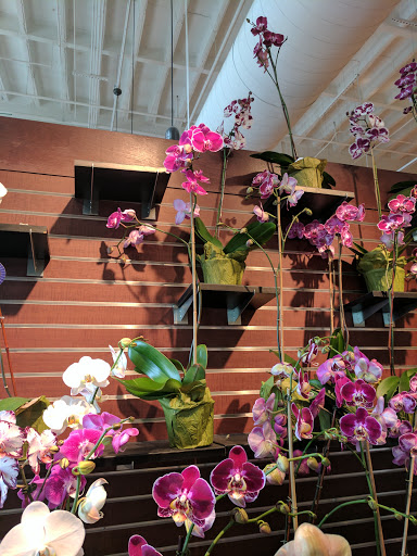 Grocery Store «The Fresh Market», reviews and photos, 10 N Nansemond St b, Richmond, VA 23221, USA