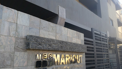 MARIOUT ENGINEERING AND CONSTRUCTION