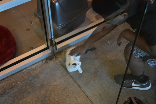 Pet Supply Store «Virginia Beach SPCA Pet Supplies & Adoption Center», reviews and photos, 983 Providence Square Shopping Center, Virginia Beach, VA 23464, USA