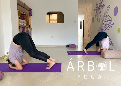 Árbol Yoga - Estudio de Yoga en Bucaramanga