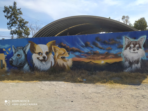 Cementerio de mascotas Ecatepec de Morelos