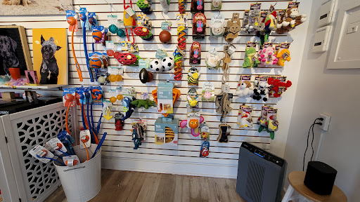 Pet Supply Store «Diggidy Dog», reviews and photos, Ocean Ave & Monte Verde St, Carmel-By-The-Sea, CA 93923, USA