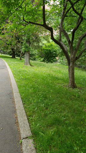 Fort Laight, 599, 501 W 123rd St, New York, NY 10027