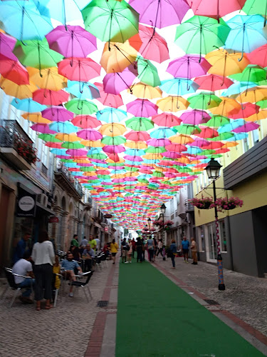 Ginásio Clube de Águeda - Águeda