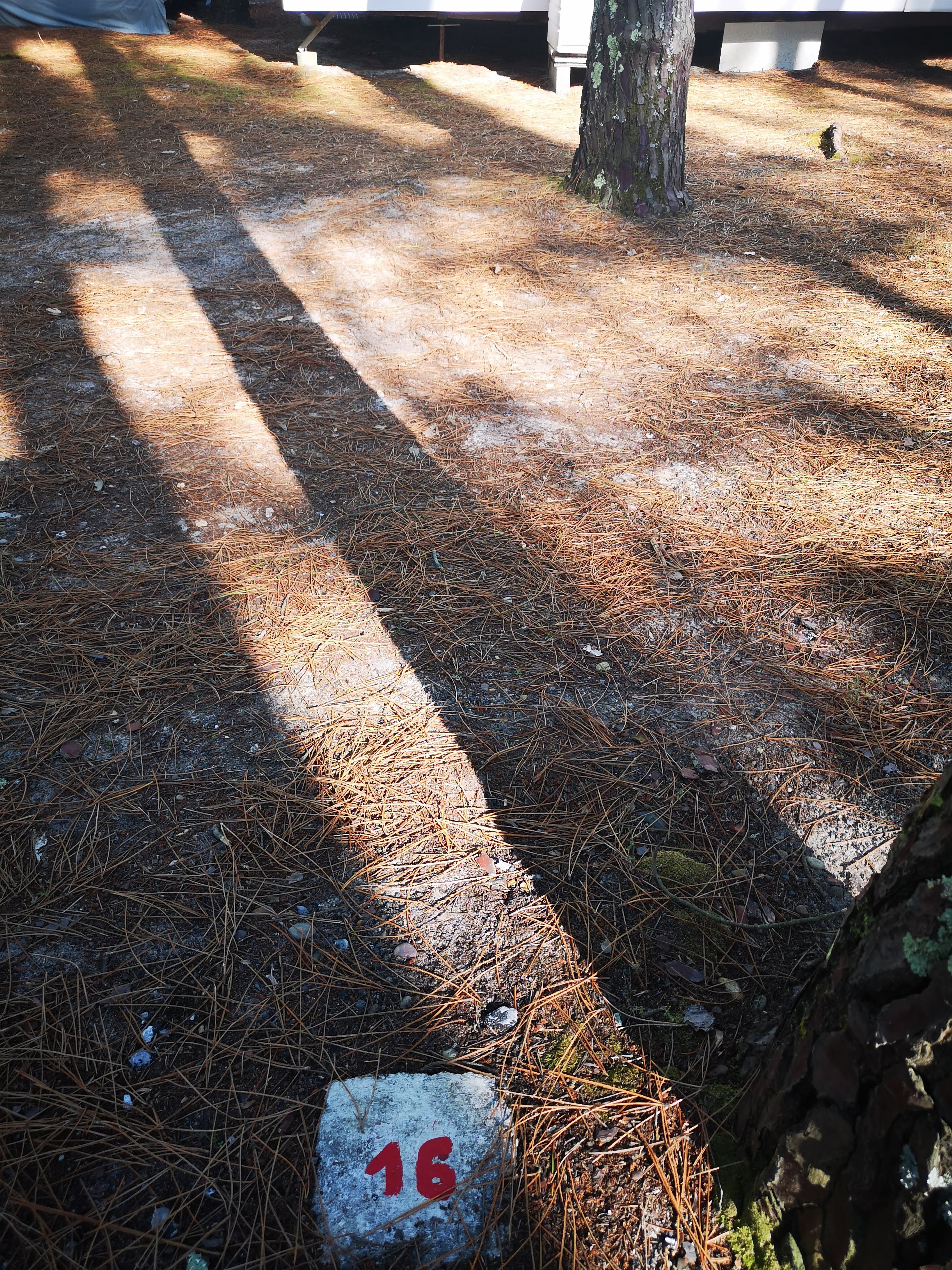Photo n° 3 de l'avis de natacha.u fait le 10/08/2019 à 17:25