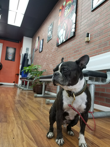 Barber Shop «The Hustle Barbershop», reviews and photos, 135-22 Hillside Avenue, Richmond Hill, NY 11418, USA