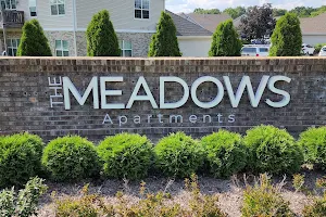 The Meadows image