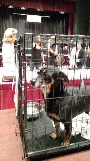 Pet Supply Store «Jeffers Pet», reviews and photos, 310 W Saunders Rd, Dothan, AL 36301, USA