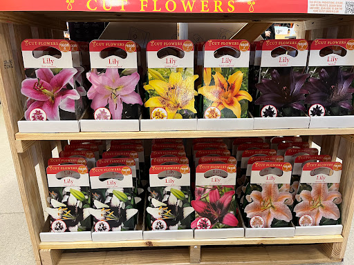 Home Improvement Store «The Home Depot», reviews and photos, 129 March Ave, Manchester, NH 03103, USA