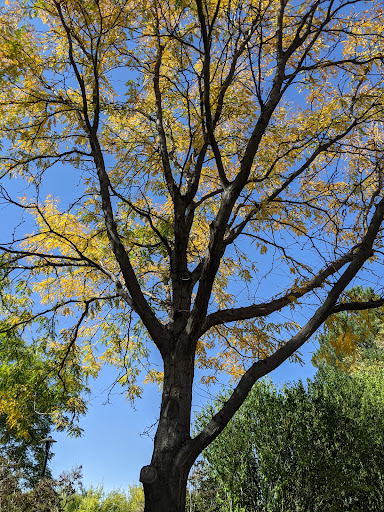 Botanical Garden «Conservation Garden Park», reviews and photos, 8275 1300 W, West Jordan, UT 84088, USA