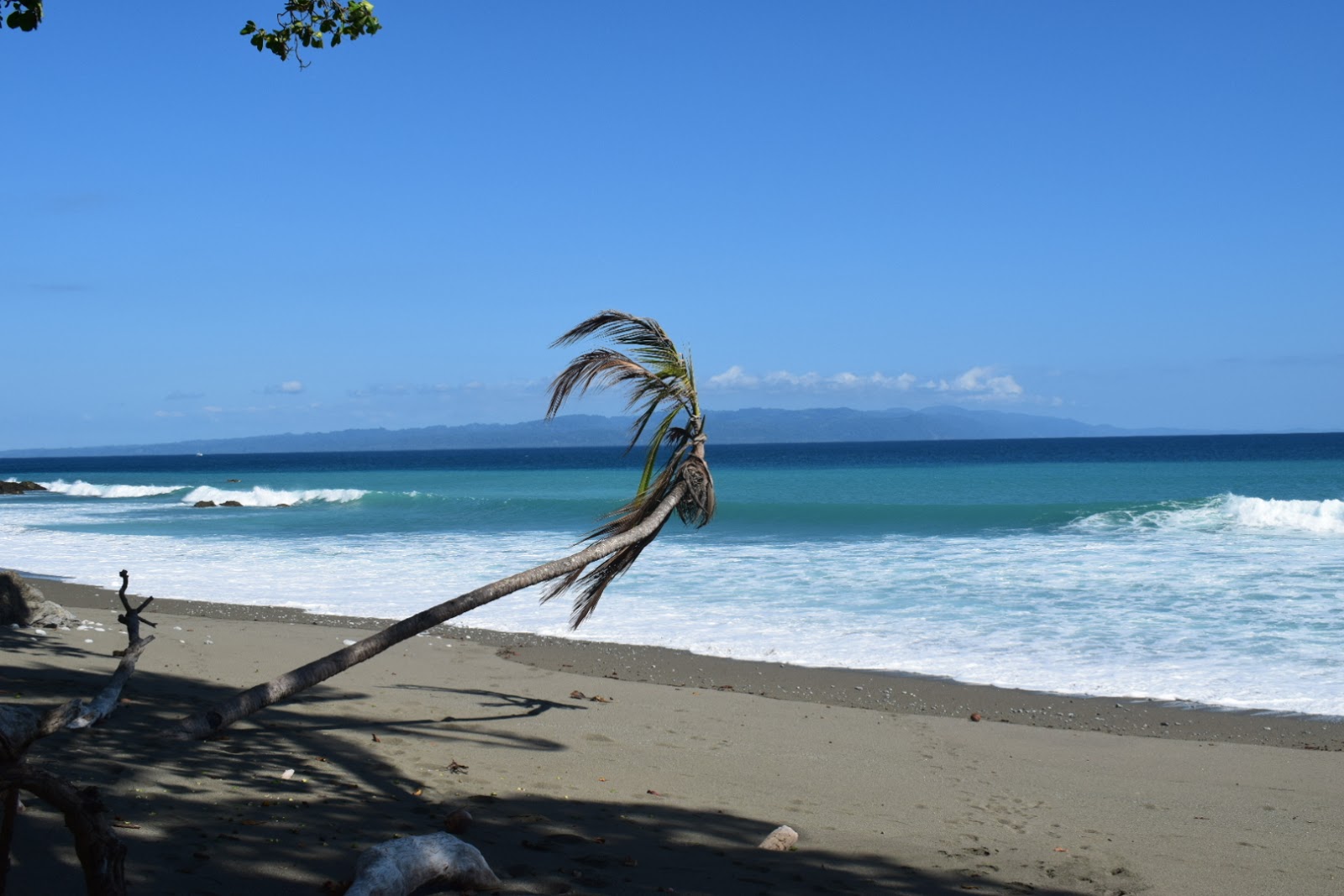 Foto di Playa Matapalo area servizi