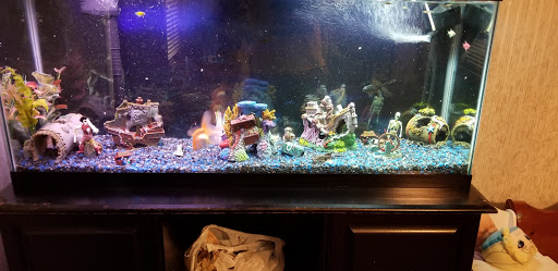 Pet Supply Store «PetSmart», reviews and photos, 11835 Retail Dr, Wake Forest, NC 27587, USA