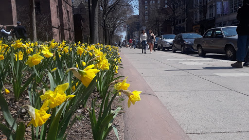 Coffee Shop «Starbucks», reviews and photos, 1068-1070 Chapel St, New Haven, CT 06510, USA