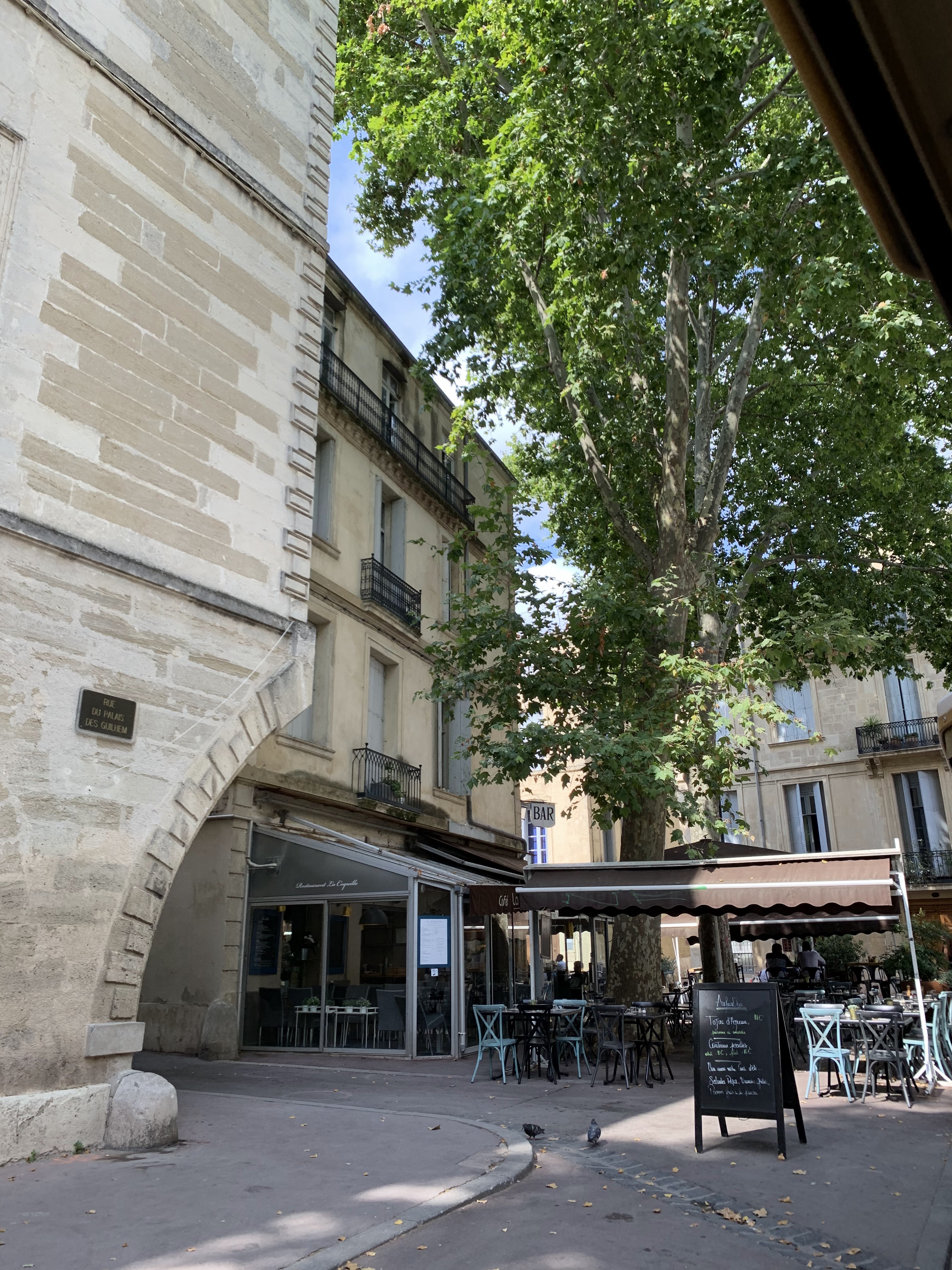 Photo n° 11 de l'avis de Marielle.e fait le 13/08/2019 à 14:28