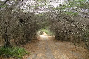 Reserva Biológica Montecano image