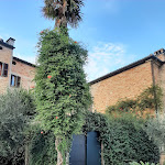 Photo n°3 de l'avis de soffiovitale.o fait le 04/09/2022 à 21:30 sur le  Il Castagno Albergo Ristorante Pizzeria à Orciano di Pesaro