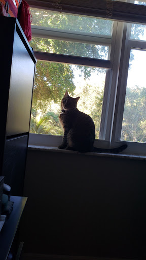 Pet Supply Store «Petco Animal Supplies», reviews and photos, 8111 W Broward Blvd, Plantation, FL 33324, USA