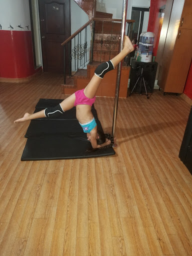 Bodyfit Pole Dance Academy