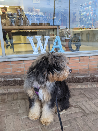 Wag Dog Spa