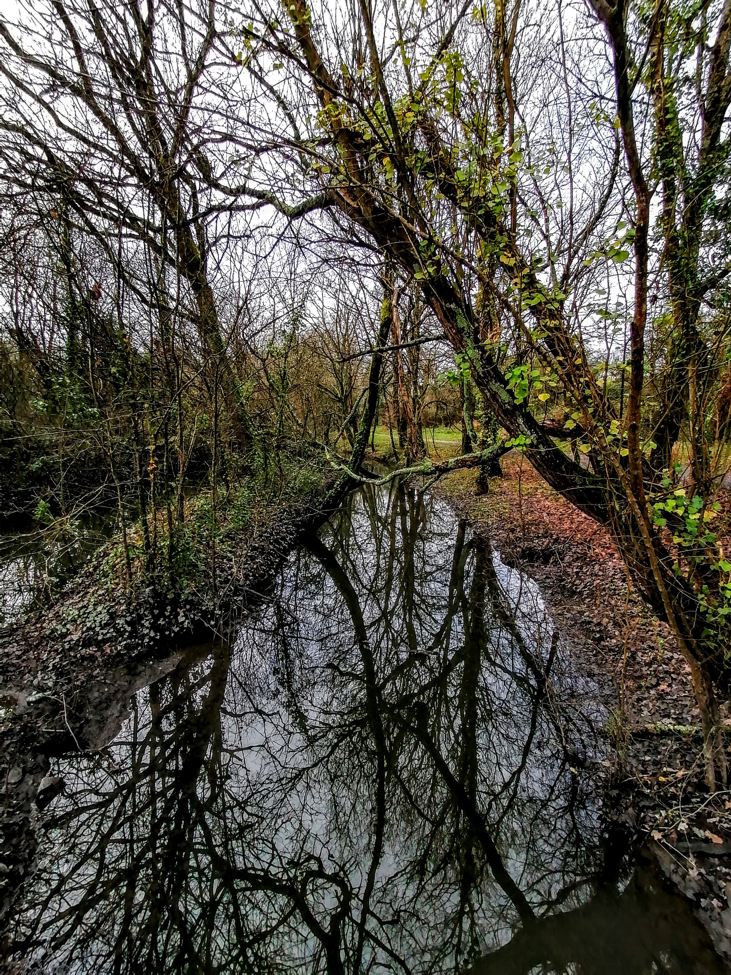 Photo n° 4 de l'avis de artem.a fait le 02/01/2020 à 15:29