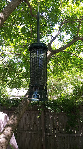 Pet Supply Store «The Bird House», reviews and photos, 1915 Lake Ave, Muskegon, MI 49445, USA