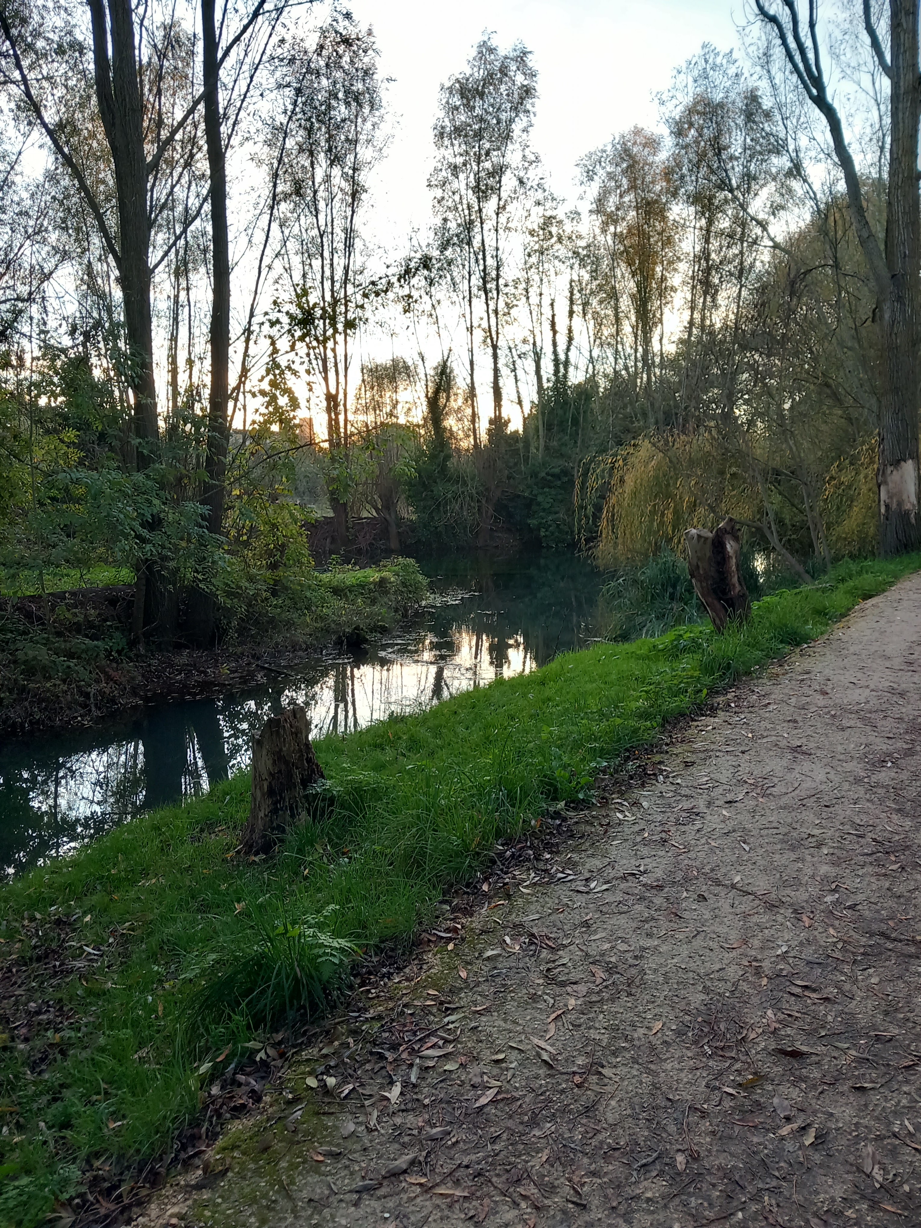 Photo n° 9 de l'avis de Ilanovich. fait le 14/01/2022 à 18:14