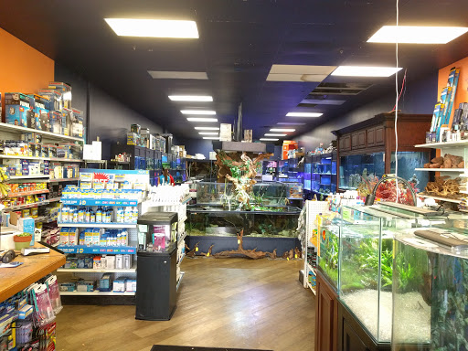 Tropical Fish Store «Aquatic Wildlife Co», reviews and photos, 70 Buckland Rd, South Windsor, CT 06074, USA