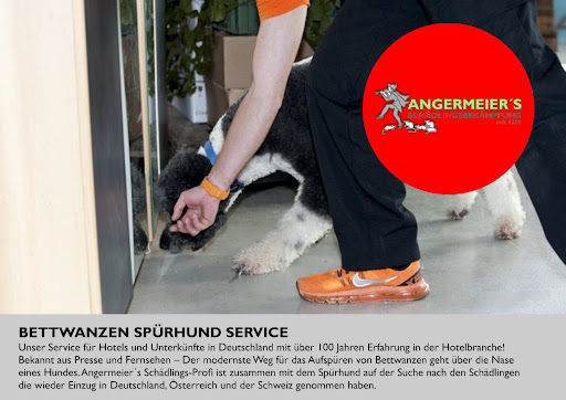 Angermeiers Schädlingsbekämpfung GmbH