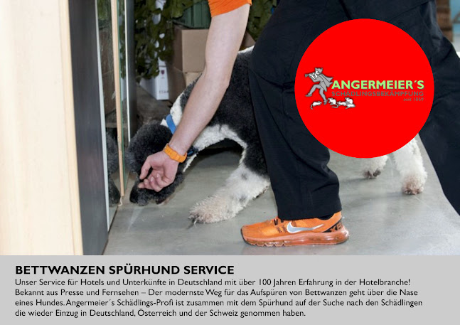 Rezensionen über Angermeiers Schädlingsbekämpfung GmbH in Grenchen - Andere