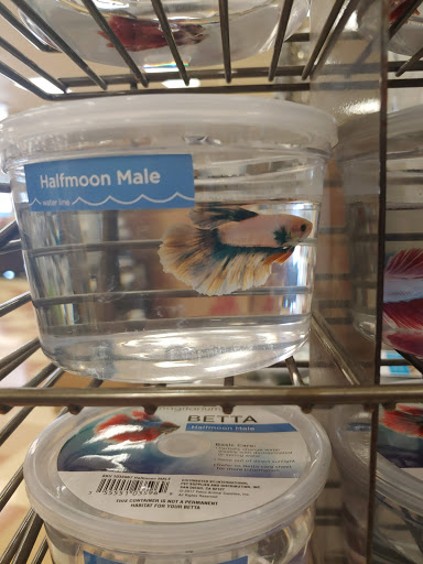 Pet Supply Store «Petco Animal Supplies», reviews and photos, 7434 Little River Turnpike, Annandale, VA 22003, USA