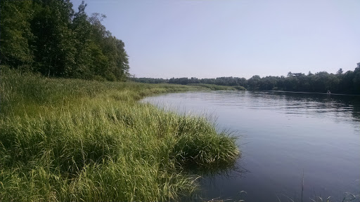 Park «Sweets Knoll State Park», reviews and photos, 1387 Somerset Ave, Dighton, MA 02715, USA