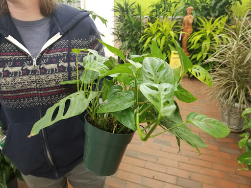 Garden Center «Sixteen Acres Garden Center», reviews and photos, 1359 Wilbraham Rd, Springfield, MA 01119, USA