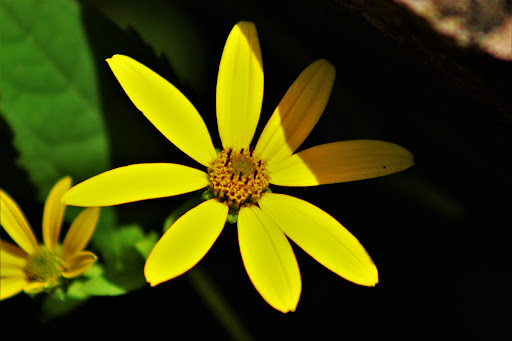 Nature Preserve «White Clay Creek Preserve», reviews and photos, 404 Sharpless Rd, Landenberg, PA 19350, USA