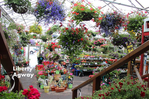 Garden Center «Liberty Agway Home & Garden Center», reviews and photos, 11 Bon Jovi Ln, Liberty, NY 12754, USA