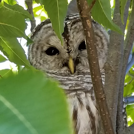 Department Store «HomeGoods», reviews and photos, 65 Commerce Way, Seekonk, MA 02771, USA