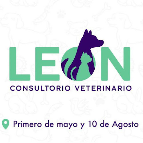 Opiniones de Consultorio Veterinario León en Cuenca - Veterinario