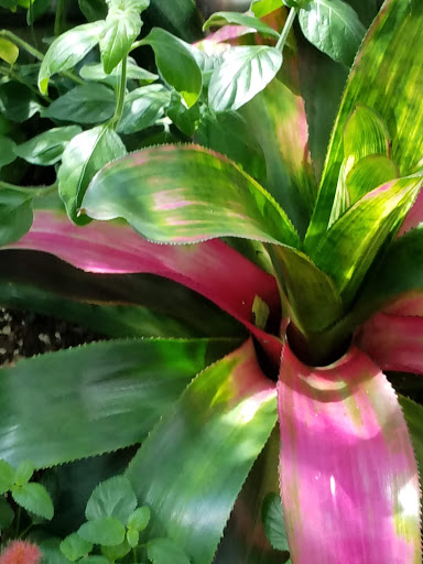 Science Museum «Connecticut Science Center», reviews and photos, 250 Columbus Blvd, Hartford, CT 06103, USA