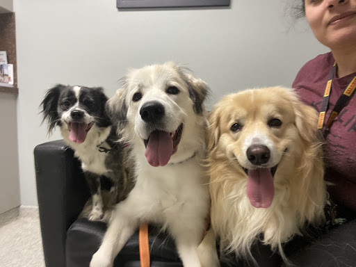 4 Lawrence Rd 4390, Walnut Ridge, AR 72476, USA