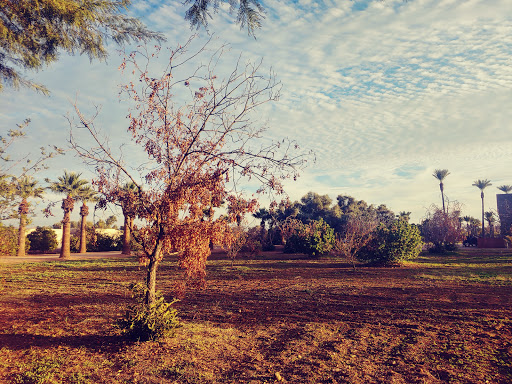 Park «Sahuaro Ranch Park», reviews and photos, 9802 N 59th Ave, Glendale, AZ 85302, USA