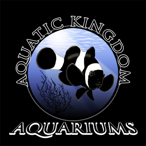 Tropical Fish Store «Aquatic Kingdom Aquariums», reviews and photos, 18757 E Hampden Ave #160, Aurora, CO 80013, USA