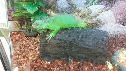 Pet Supply Store «Petco Animal Supplies», reviews and photos, 2005 Crow Canyon Pl, San Ramon, CA 94583, USA