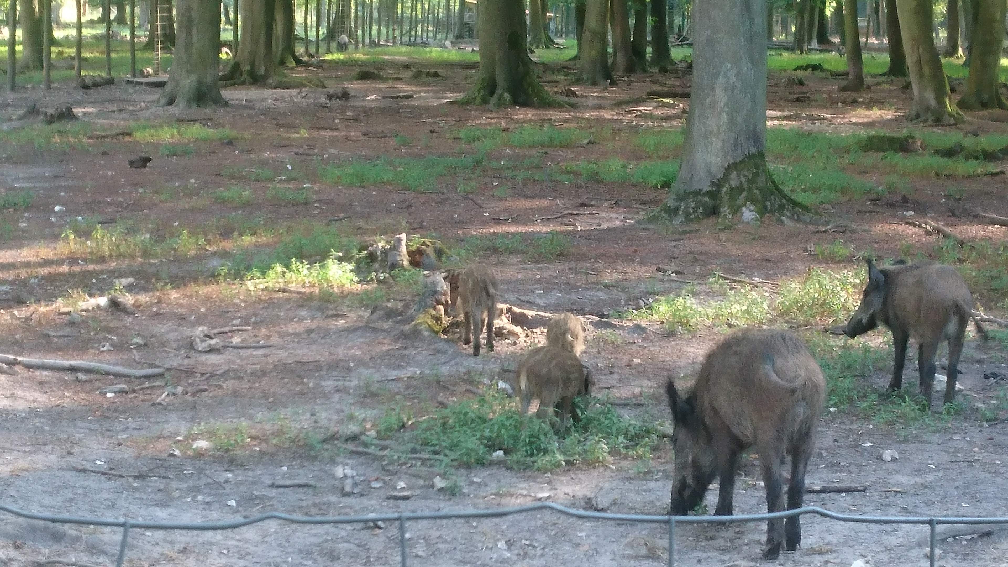 Photo n° 2 de l'avis de Nicolas.u fait le 26/07/2018 à 22:58