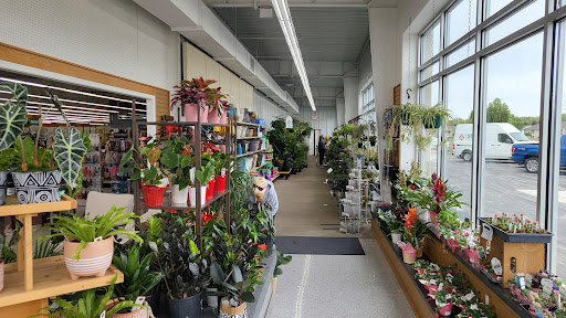 Stein's Garden & Home