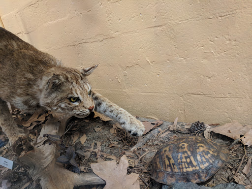 Museum «Discovery Place Nature», reviews and photos, 1658 Sterling Rd, Charlotte, NC 28209, USA