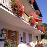 Photo n°10 de l'avis de Dan.c fait le 12/09/2018 à 17:48 sur le  Landhotel Weinhaus Treis à Weinähr